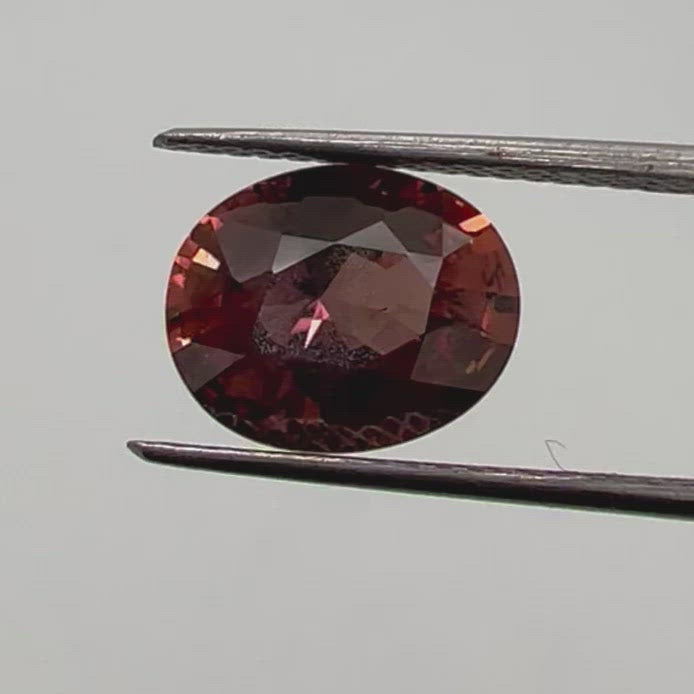 Forme Ovale Naturel Padparadscha Saphir 11.70 CT Certifié Libre Pierre Précieuse